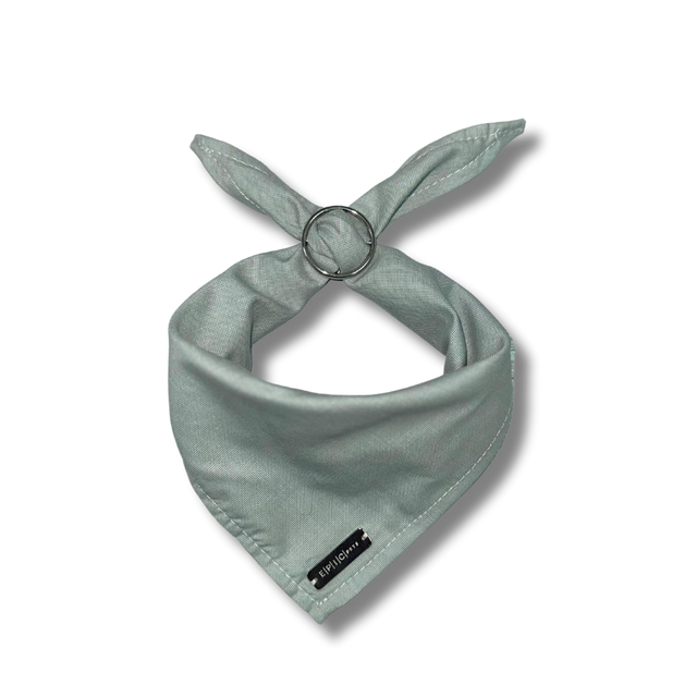 Bandanas Scout Special Edition