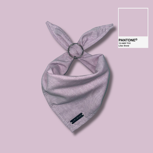 Bandanas Scout Special Edition