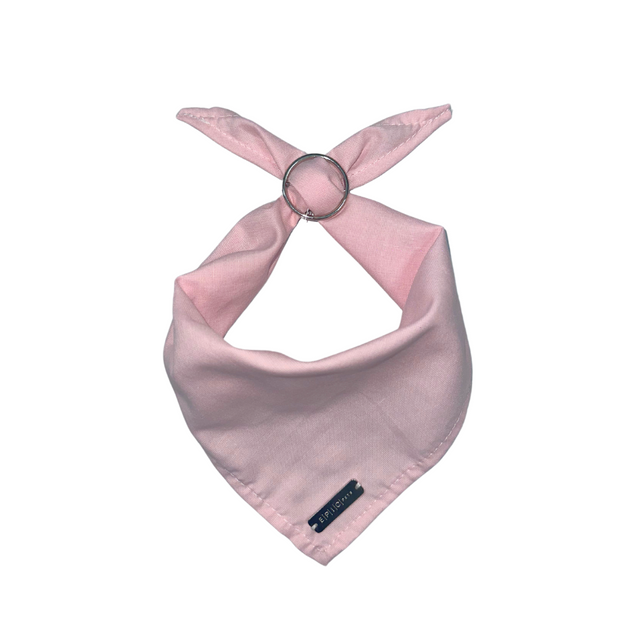 Bandanas Scout Special Edition