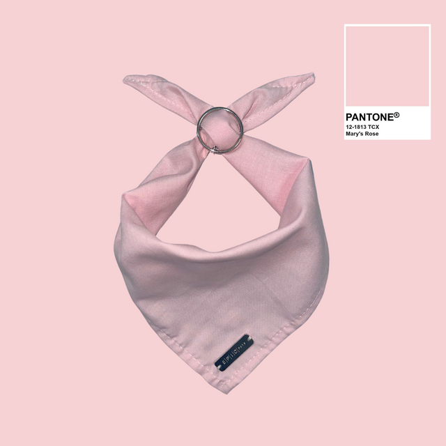 Bandanas Scout Special Edition