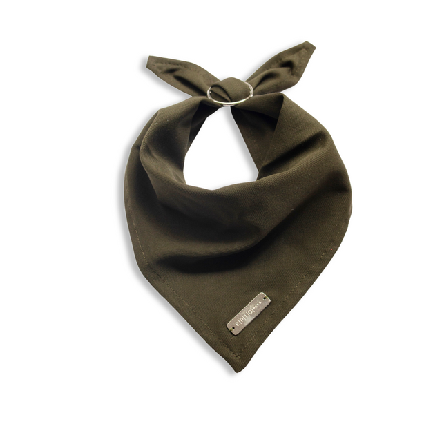 Bandana verde para perro