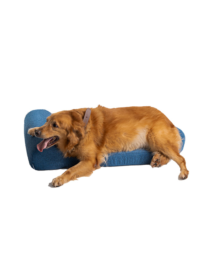 Dog Bed Large