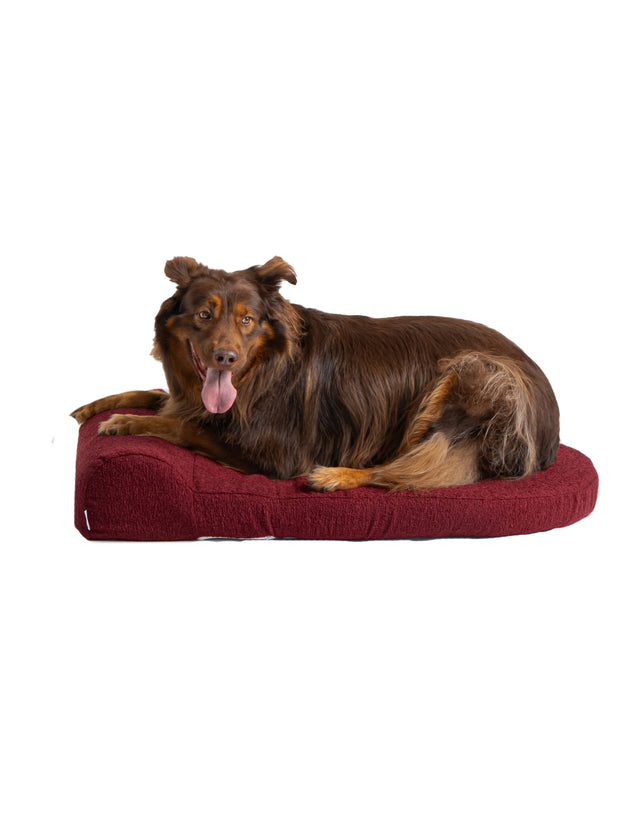 Dog Bed Large