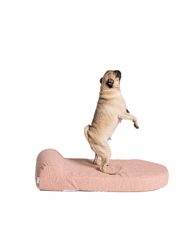 Dog Bed Medium