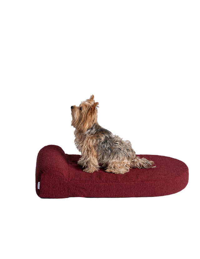 Dog Bed Medium