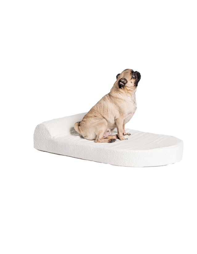 Dog Bed Medium