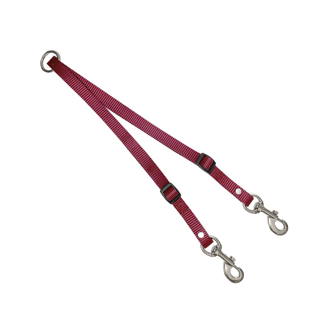 Correa doble para perros