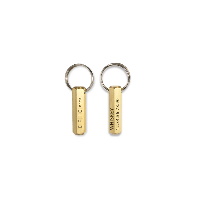 Name Tag para mascota