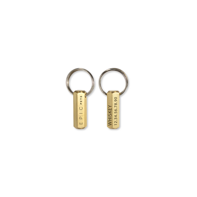 Name Tag para mascota