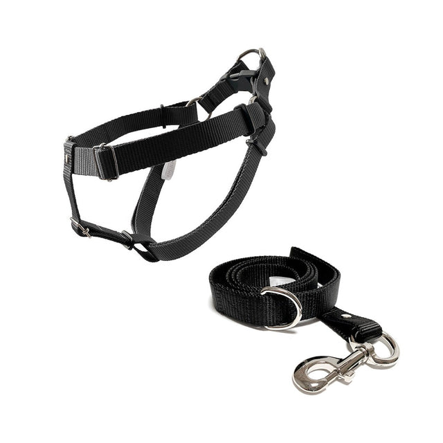 set de arnés mediano para perros