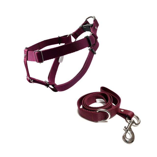 set de arnés grande para perro