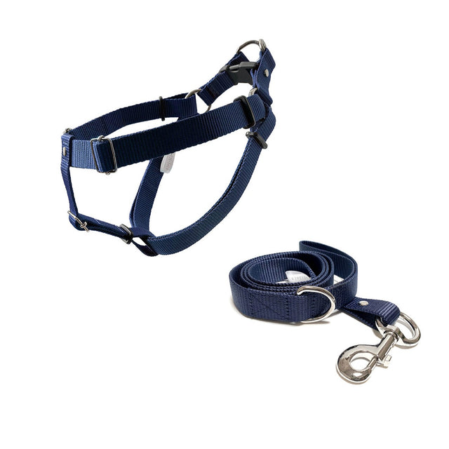 set de arnés y correa para perros