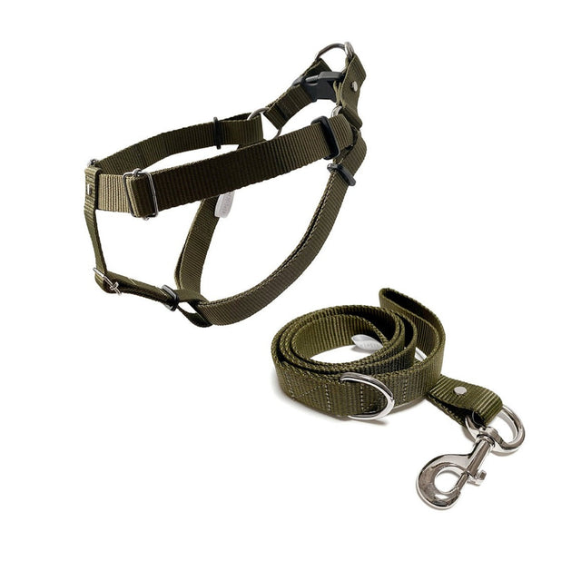 set de arnés para perros