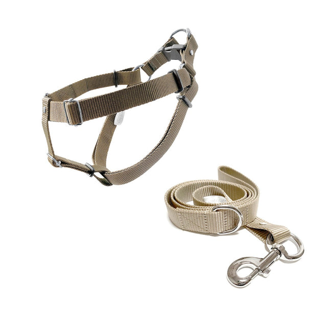 set de arnés grande para perros