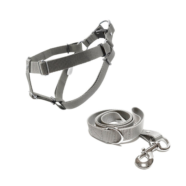 set de pechera y correa perros