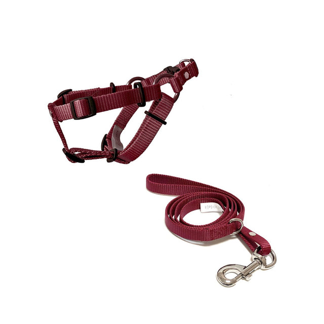 set de arnés y correa para perros