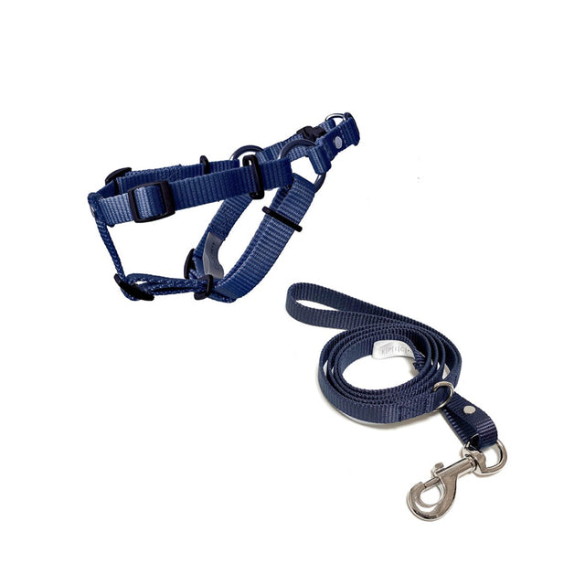 set de arnés y correa para perro