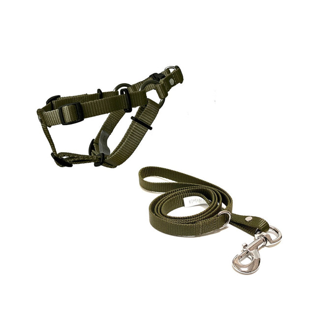 set de arnés y correa chico para perro