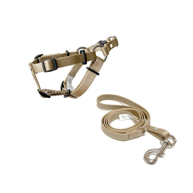 conjunto de arnés y correa para perros