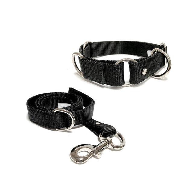 Set de collar y correa grande