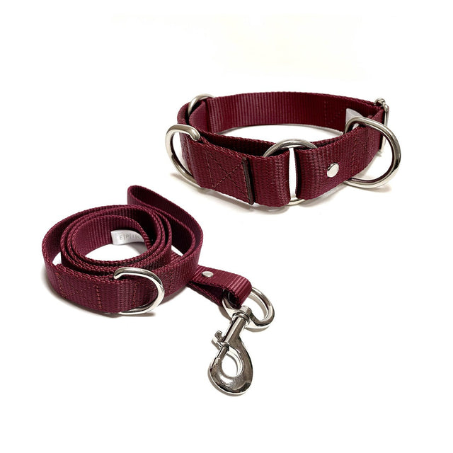 Set de collar y correa grande