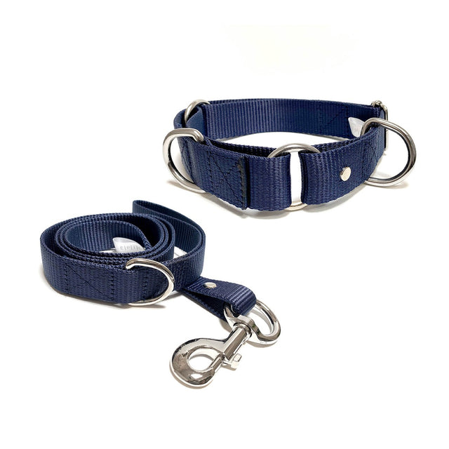 Set de collar y correa