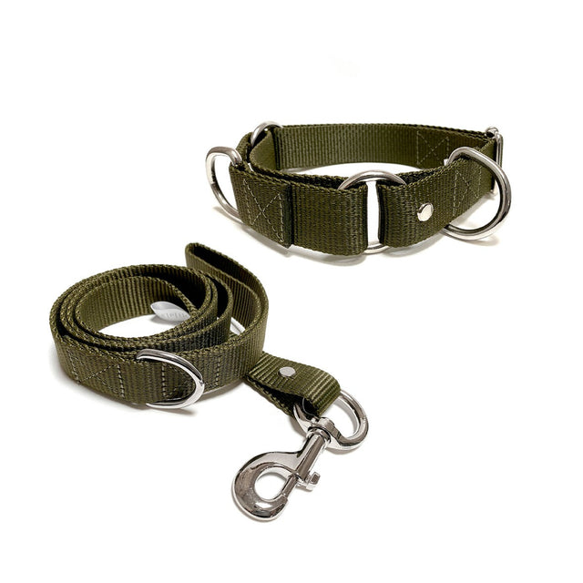 Set de collar y correa grande