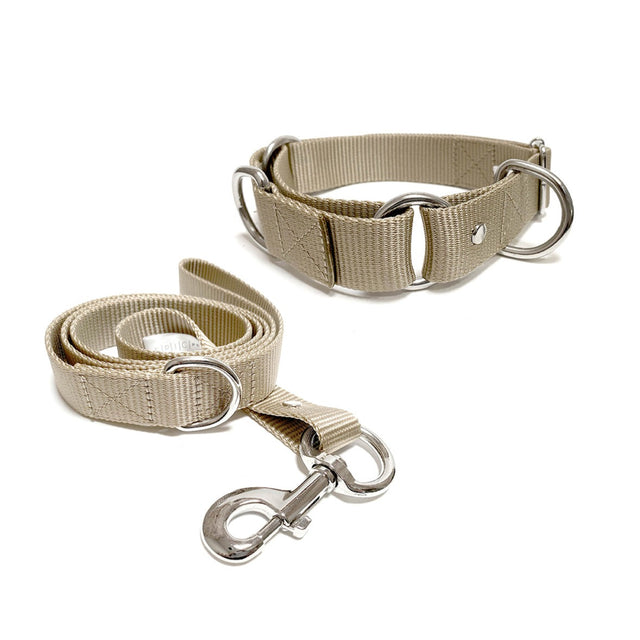 Set de collar y correa grande
