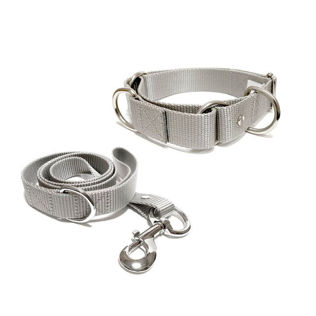 Set de collar y correa grande