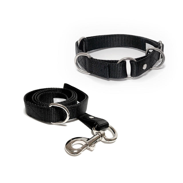 Set de collar y correa mediano