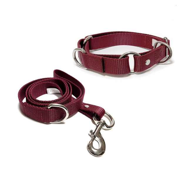 Set de collar y correa mediano