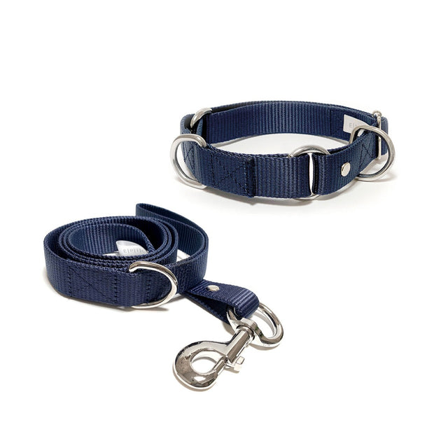 Set de collar y correa mediano