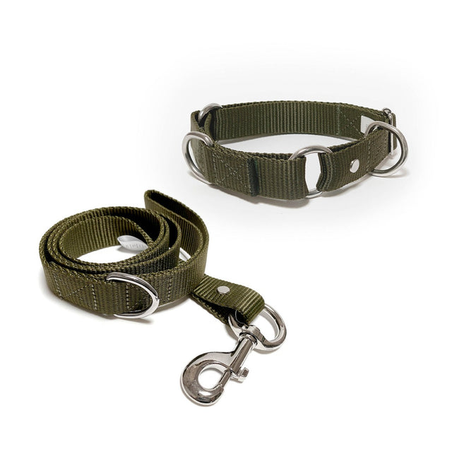 Set de collar y correa mediano