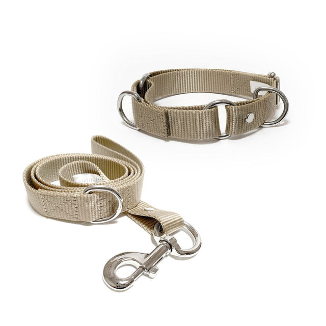 Set de collar y correa mediano