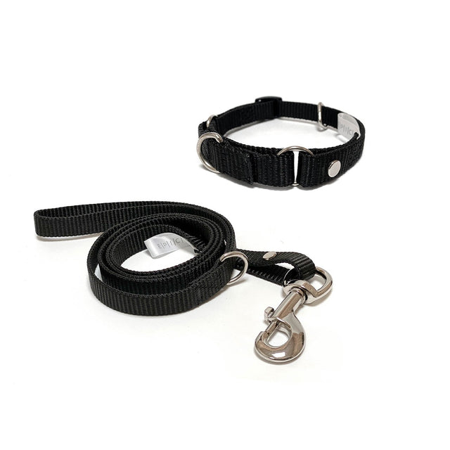 Set de collar y correa chico
