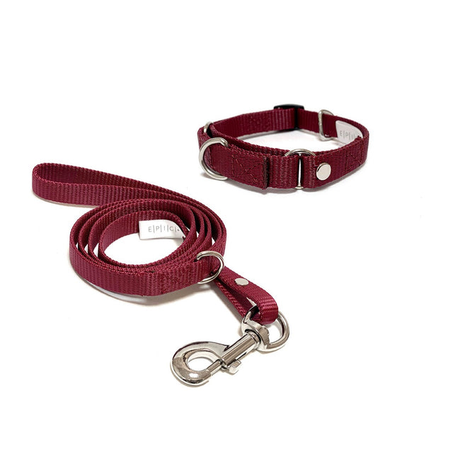 Set de collar y correa chico