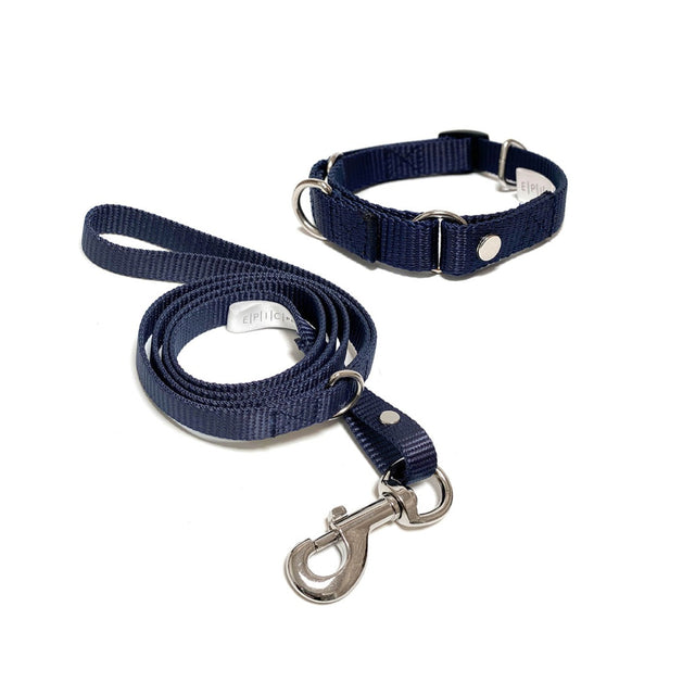 Set de collar y correa chico