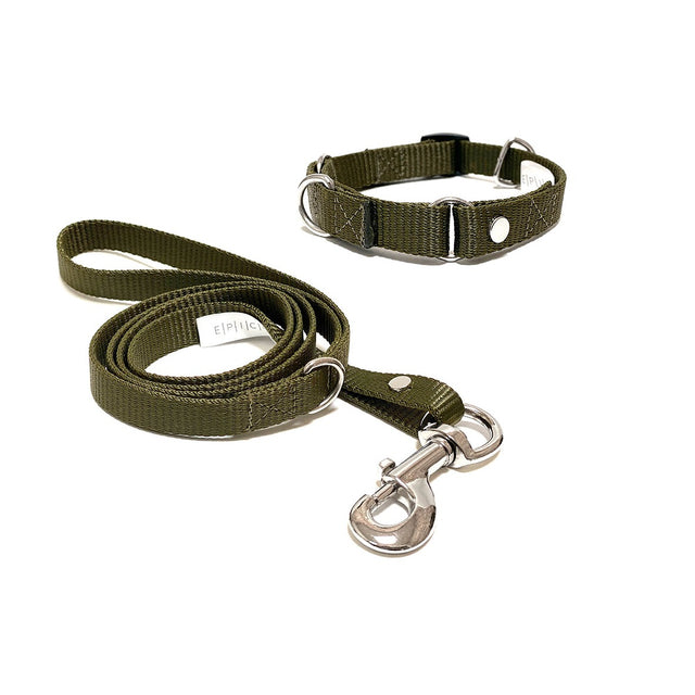 Set de collar y correa chico