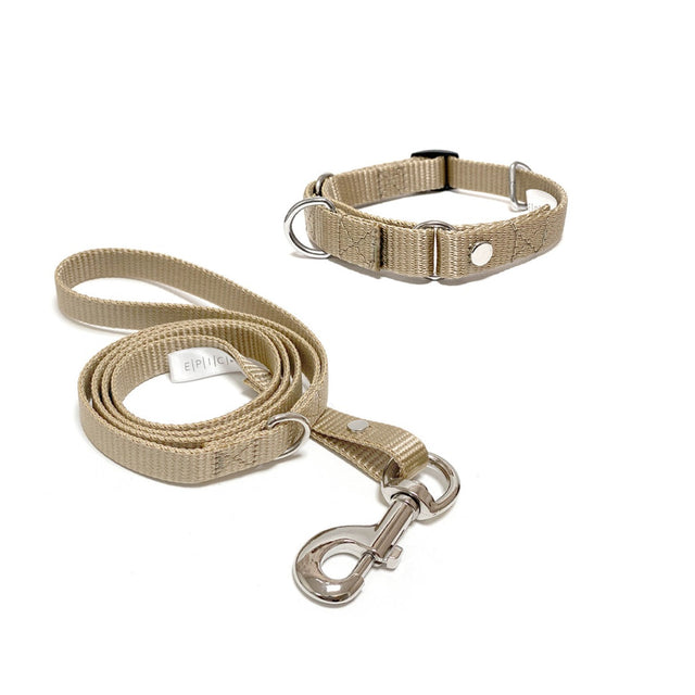 Set de collar y correa chico