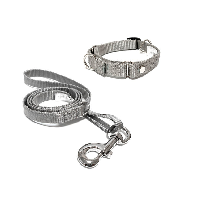 Set de collar y correa chico