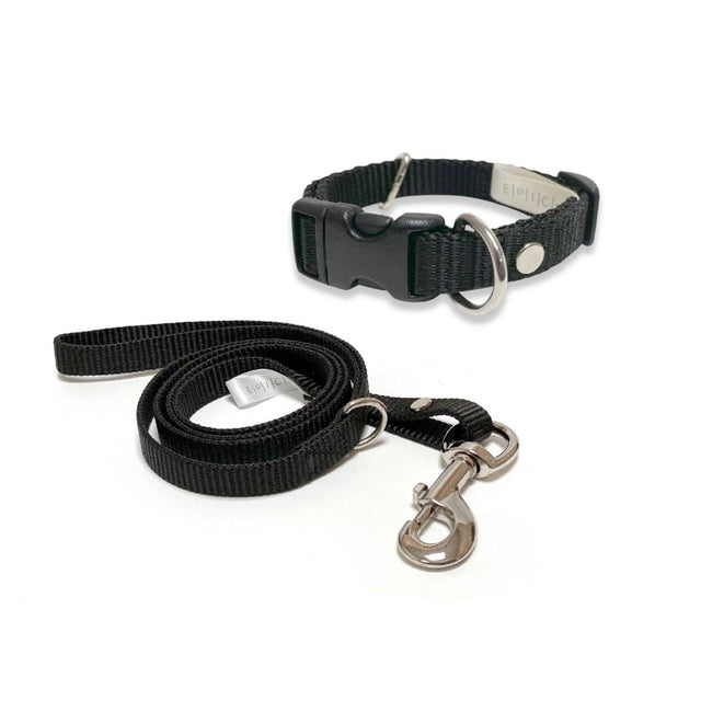 Set de collar y correa chico