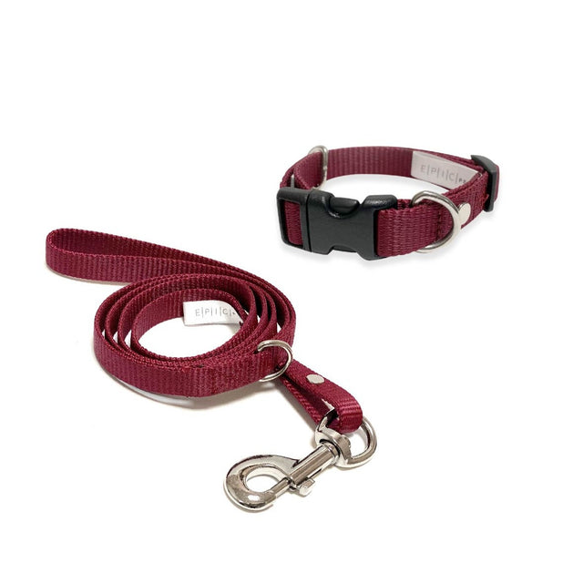 Set de collar y correa chico