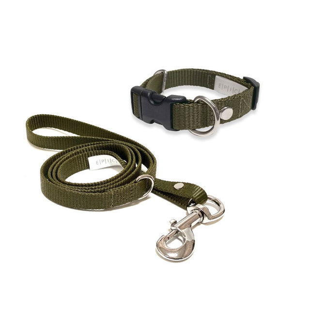 Set de collar y correa chico