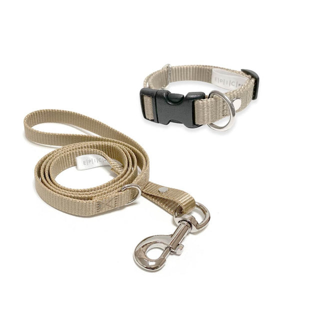 Set de collar y correa chico