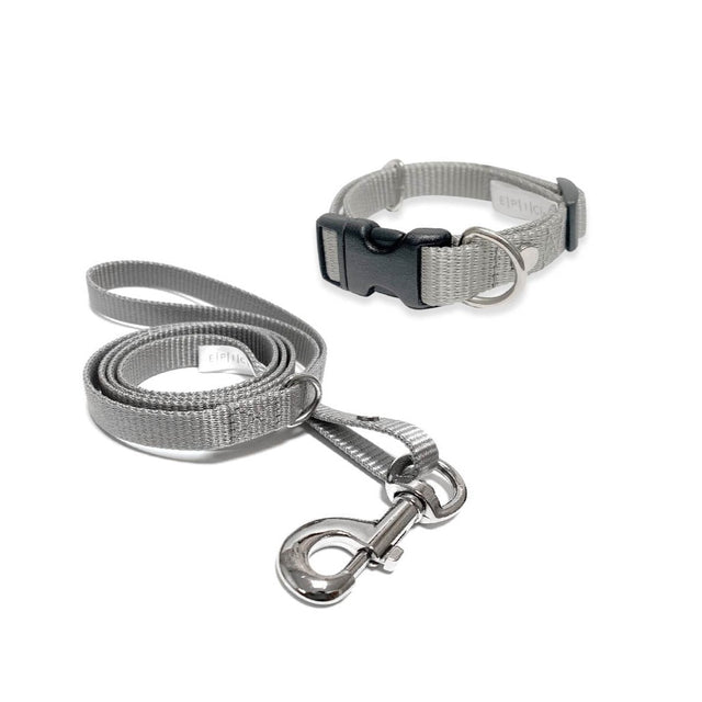 Set de collar y correa chico