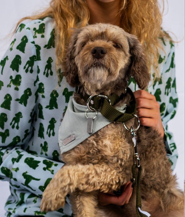 Collar Set