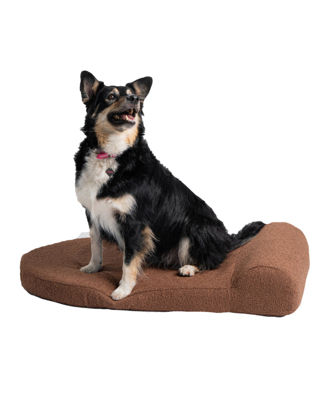 Dog Bed Large