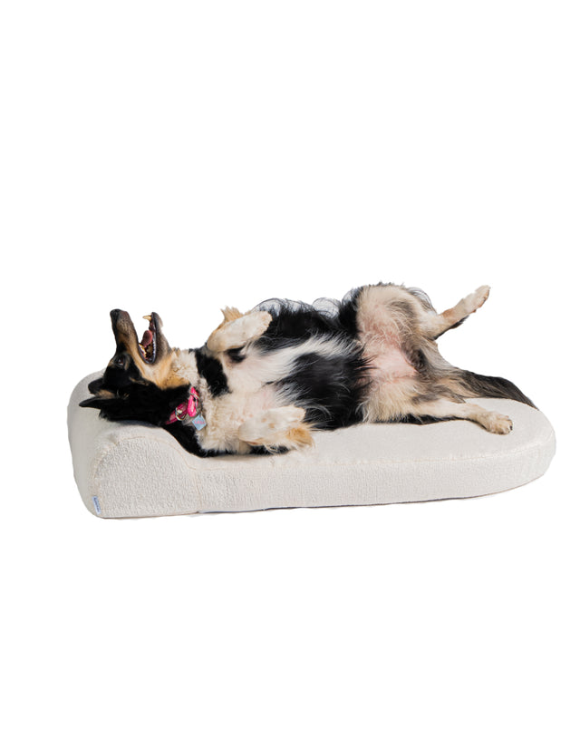 Dog Bed Large
